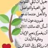 sadem8653974193777