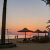 alkanimy_235