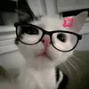 lana.eilish23