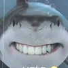 vasco_124