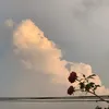 thonglongthonglong