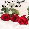 amin.ff726