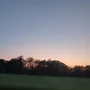 blubandelster