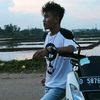 arycribo
