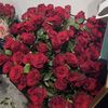 roz_161