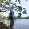 niasna3