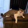 jensonthiswildlife