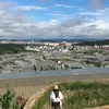 m.chi1502