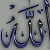 zakir.burak
