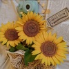 mesunflower123