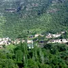 rzan.bnarik
