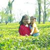 sourikghosh55
