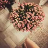 _abishevaaa_