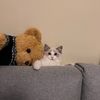 Tiantian&Shop