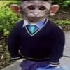 anasanda_der_salamanda
