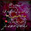 razaali8244