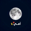 dy7ml38eorq4