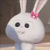 0_0mngoc