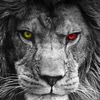menacem8n