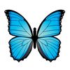 wildaccusationsx24