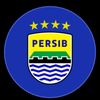 orang.sumatra9