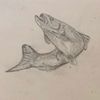 beerbelliedtrout2.0