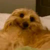 j_criatividade0_j