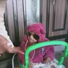 aalokgupta147
