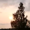ellijun_011
