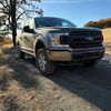 fogtrailf150