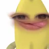bagnetnicarsonsalaunion