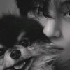 arowa360