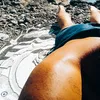 robergr82
