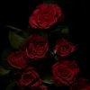 stef_3677