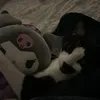 itsmeiiaov