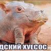 ksisjshdhdhd