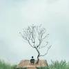 hagcinh