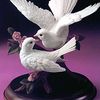 md.arafat.rahman097