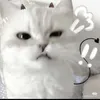 lamtringuyen7