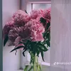 a_n_h_t_h_u123