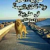 dy9kgnxa2g0b
