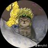 kerwin12gmail.com