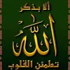 user53470370.35716