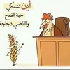 chahdbennani429