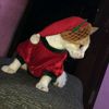 brunoysushermanos5