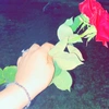 shayda_sherwan