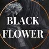 _blackflower02