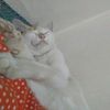 qwertty_99