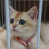 shy_baby1990