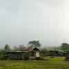 cyp_farm